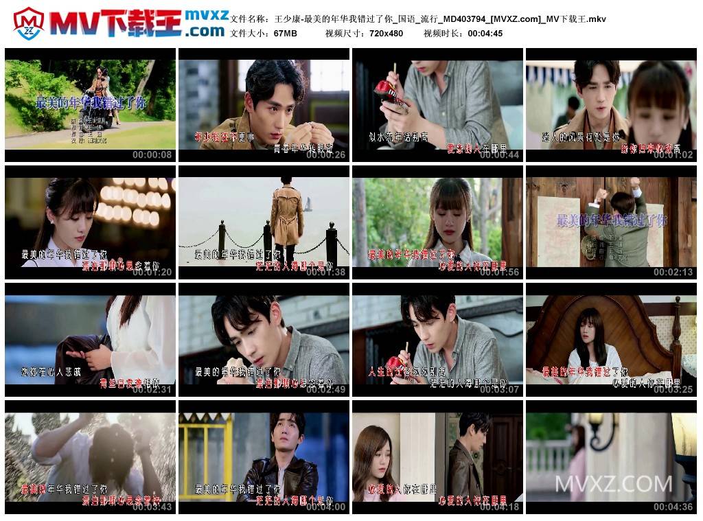 王少康-最美的年华我错过了你_国语_流行_MD403794